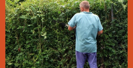 Immagine di giardiniere all'opera. Da retisolidali.it