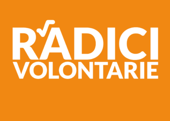 Logo Progetto Radici Volontarie - Scuola e Volontariato
