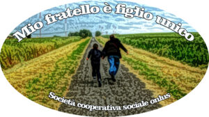 Mio fratello è figlio unico