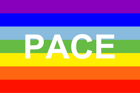 Traiettorie di pace positiva: a Roma un workshop residenziale per giovani e attivisti dello sviluppo sostenibile