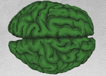 A Cassino la quinta edizione del Festival della Neuroetica e del Cervello Sociale