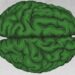 A Cassino la quinta edizione del Festival della Neuroetica e del Cervello Sociale