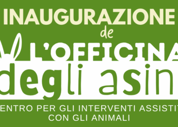 Ad Anzio inaugura “L’Officina degli Asini”, nuovo centro per gli Interventi Assistiti con gli Animali