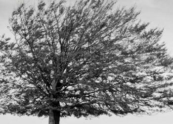 Psicologia oncologica e cure palliative: a Roma un incontro sulle conseguenze emotive delle malattie gravi